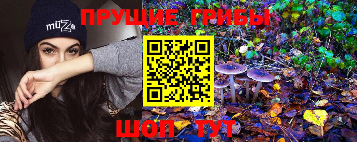 Псилоцибиновые грибы мухоморы Новый Уренгой