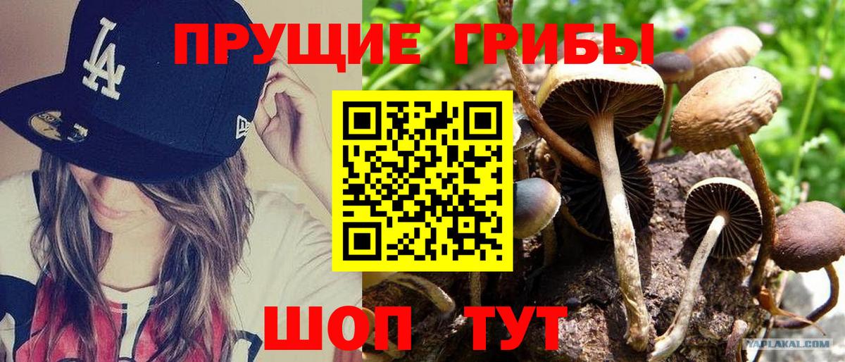 Новый Уренгой  Псилоцибиновые грибы Psilocybe  Вход с VPN  Галлюциногенные грибы MAGIC MUSHROOMS 